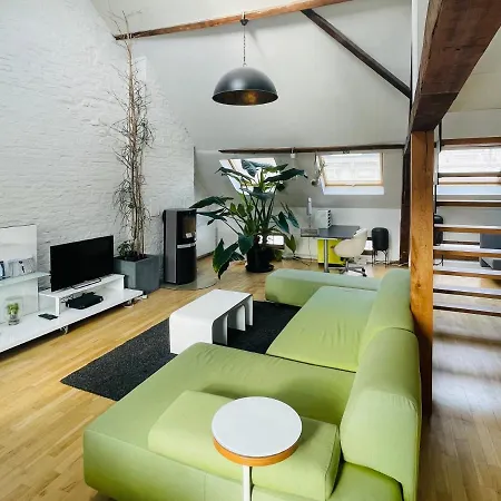 Spacious Loft In The Historical Centre *